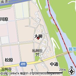 愛知県豊川市向河原町大柳周辺の地図