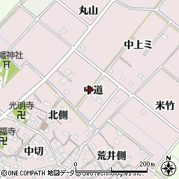 愛知県西尾市針曽根町中道周辺の地図