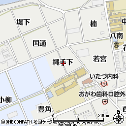 愛知県豊川市野口町縄手下周辺の地図