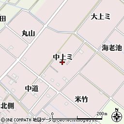 愛知県西尾市針曽根町中上ミ周辺の地図