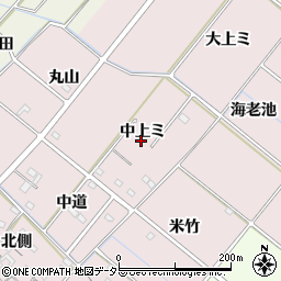 愛知県西尾市針曽根町（中上ミ）周辺の地図