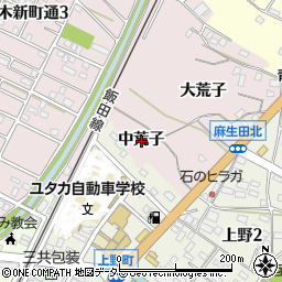 愛知県豊川市麻生田町中荒子周辺の地図