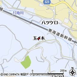 愛知県蒲郡市竹谷町（玉ノ木）周辺の地図