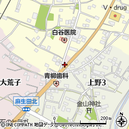 愛知県豊川市麻生田町中通周辺の地図