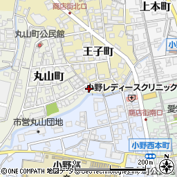 兵庫県小野市丸山町1-1周辺の地図