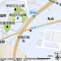愛知県額田郡幸田町芦谷釜名ケ入周辺の地図