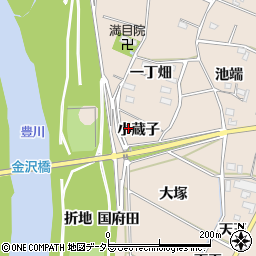 愛知県豊川市金沢町小蔵子周辺の地図