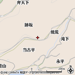 愛知県豊川市金沢町跡坂周辺の地図
