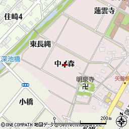 愛知県西尾市矢曽根町中ノ森周辺の地図