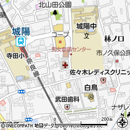 京都府城陽市寺田林ノ口11-114周辺の地図