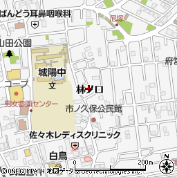 京都府城陽市寺田林ノ口11-55周辺の地図