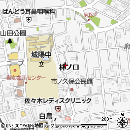 京都府城陽市寺田林ノ口11-207周辺の地図