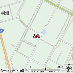 愛知県常滑市西阿野古池周辺の地図