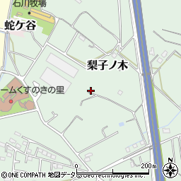 愛知県知多郡武豊町梨子ノ木周辺の地図