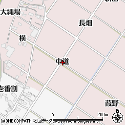 愛知県西尾市和気町中道周辺の地図