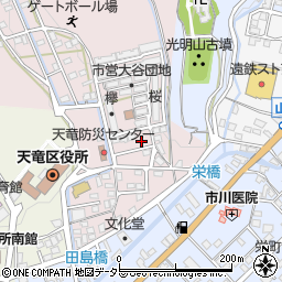 静岡県浜松市天竜区大谷54周辺の地図