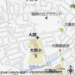 京都府宇治市広野町大開周辺の地図