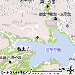 静岡県藤枝市若王子403-1周辺の地図