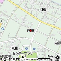 愛知県額田郡幸田町大草両面周辺の地図