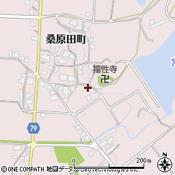 兵庫県加西市桑原田町501周辺の地図