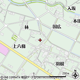 愛知県額田郡幸田町大草林9周辺の地図