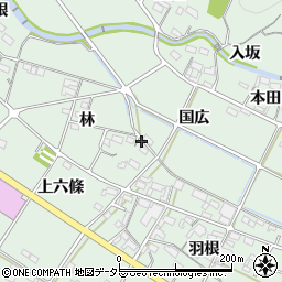 愛知県額田郡幸田町大草林78周辺の地図
