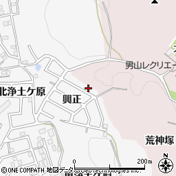 京都府八幡市橋本興正7-9周辺の地図