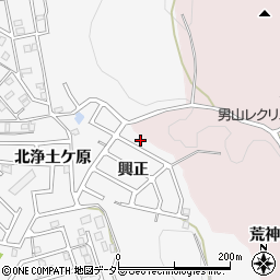 京都府八幡市橋本興正7-5周辺の地図