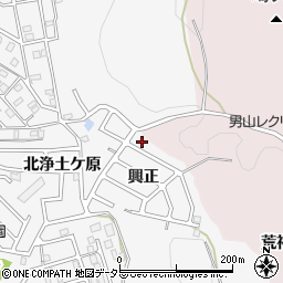 京都府八幡市橋本興正7-3周辺の地図