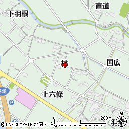 愛知県額田郡幸田町大草林周辺の地図