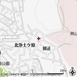 京都府八幡市橋本興正15周辺の地図