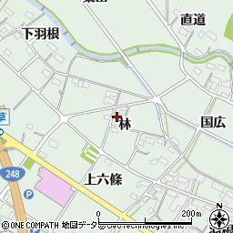 愛知県額田郡幸田町大草林69周辺の地図