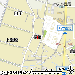 愛知県西尾市八ツ面町松葉周辺の地図