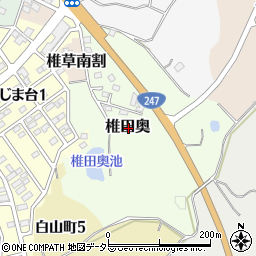 愛知県常滑市椎田奥周辺の地図