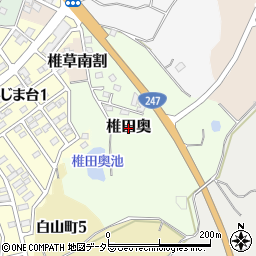 愛知県常滑市椎田奥周辺の地図