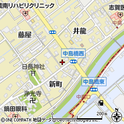 愛知県岡崎市中島町井龍13周辺の地図