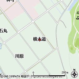 愛知県額田郡幸田町大草横大道周辺の地図