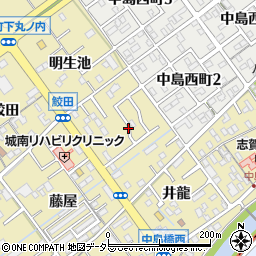 愛知県岡崎市中島町中道周辺の地図