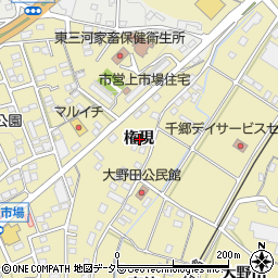 愛知県新城市野田権現周辺の地図