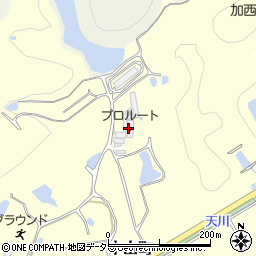 有限会社プロルート周辺の地図