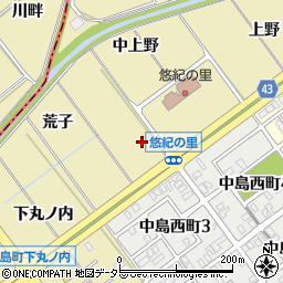 愛知県岡崎市中島町上丸ノ内周辺の地図