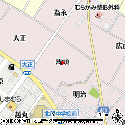 愛知県額田郡幸田町高力馬頭周辺の地図