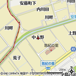 愛知県岡崎市中島町中上野周辺の地図