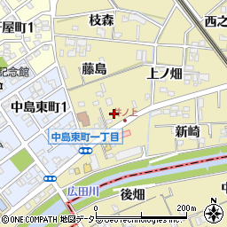 愛知県岡崎市中島町井ノ上周辺の地図