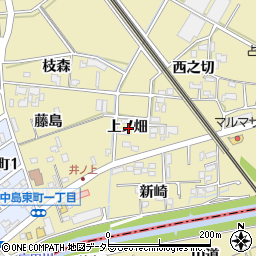 愛知県岡崎市正名町上ノ畑周辺の地図