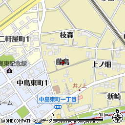 愛知県岡崎市中島町藤島周辺の地図