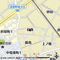 愛知県岡崎市正名町枝森周辺の地図