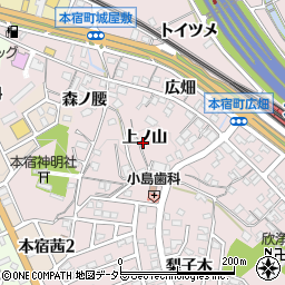 愛知県岡崎市本宿町上ノ山13周辺の地図