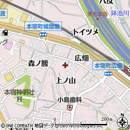 愛知県岡崎市本宿町上ノ山22周辺の地図