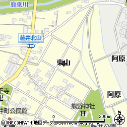 愛知県安城市藤井町東山周辺の地図